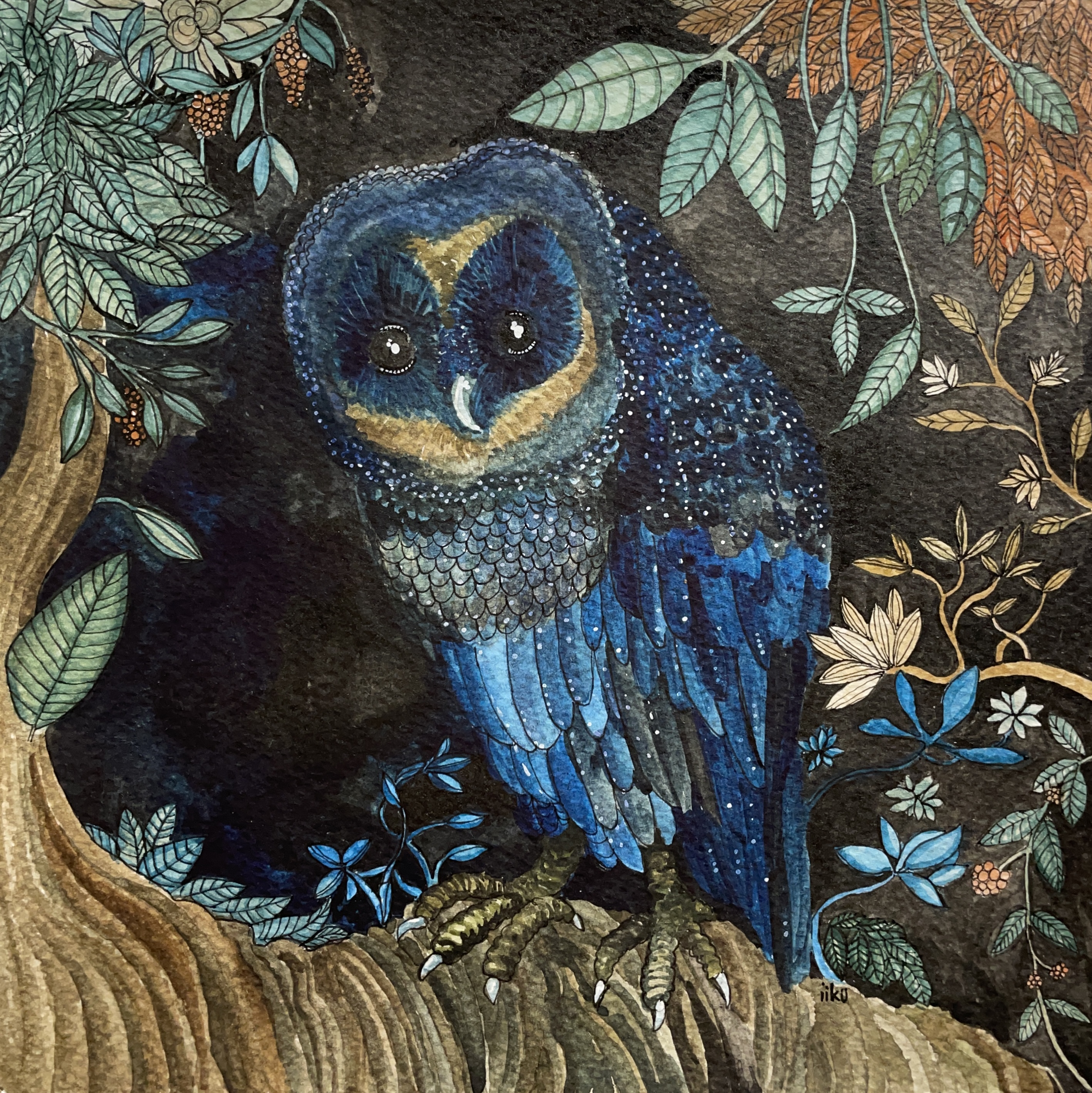 Night Owl